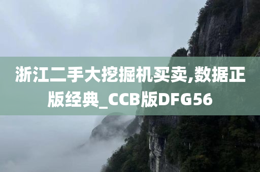 浙江二手大挖掘机买卖,数据正版经典_CCB版DFG56