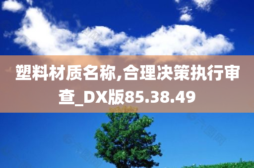 塑料材质名称,合理决策执行审查_DX版85.38.49