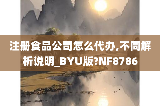 注册食品公司怎么代办,不同解析说明_BYU版?NF8786