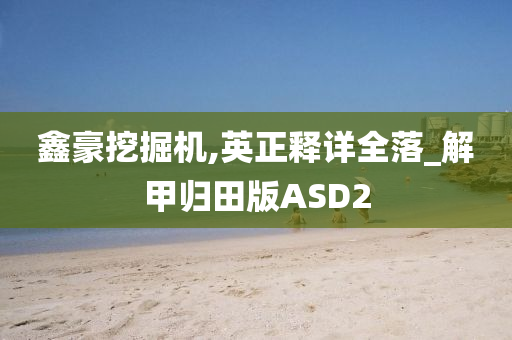 鑫豪挖掘机,英正释详全落_解甲归田版ASD2