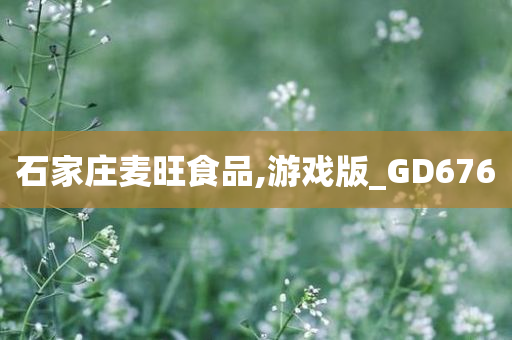 石家庄麦旺食品,游戏版_GD676