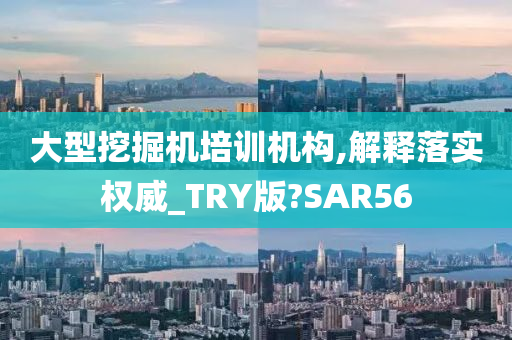 大型挖掘机培训机构,解释落实权威_TRY版?SAR56