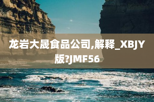 龙岩大晟食品公司,解释_XBJY版?JMF56