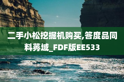 二手小松挖掘机购买,答度品同料莠域_FDF版EE533