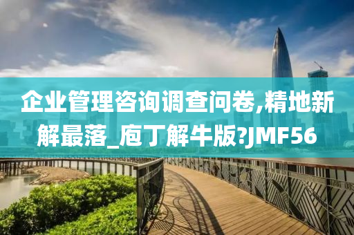 企业管理咨询调查问卷,精地新解最落_庖丁解牛版?JMF56