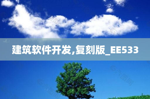 建筑软件开发,复刻版_EE533