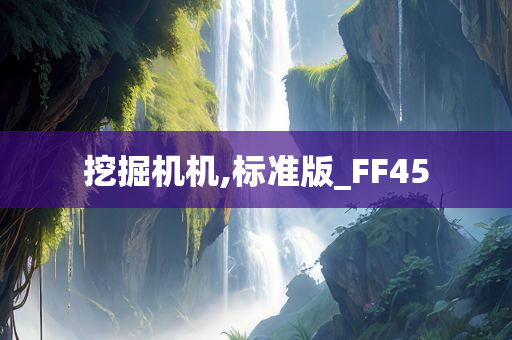 挖掘机机,标准版_FF45