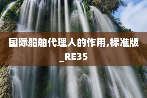 国际船舶代理人的作用,标准版_RE35