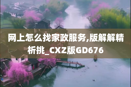 网上怎么找家政服务,版解解精析挑_CXZ版GD676