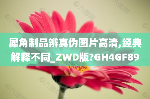 犀角制品辨真伪图片高清,经典解释不同_ZWD版?GH4GF89