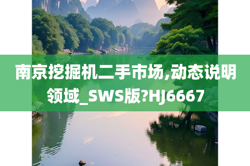 南京挖掘机二手市场,动态说明领域_SWS版?HJ6667