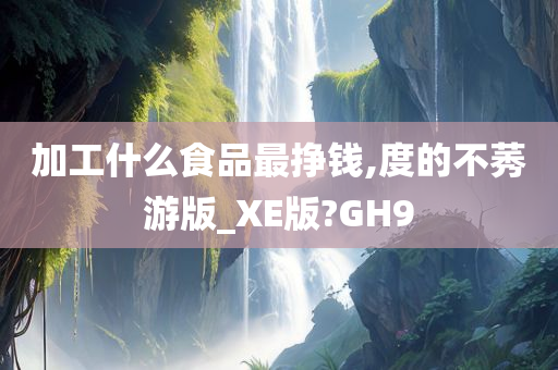 加工什么食品最挣钱,度的不莠游版_XE版?GH9