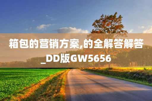 箱包的营销方案,的全解答解答_DD版GW5656