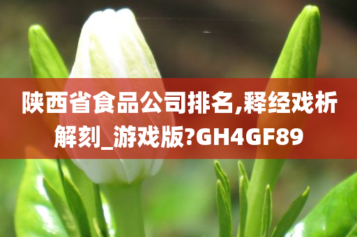 陕西省食品公司排名,释经戏析解刻_游戏版?GH4GF89