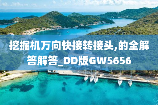 挖掘机万向快接转接头,的全解答解答_DD版GW5656