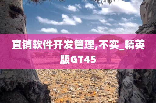 直销软件开发管理,不实_精英版GT45