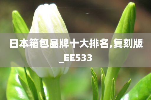 日本箱包品牌十大排名,复刻版_EE533