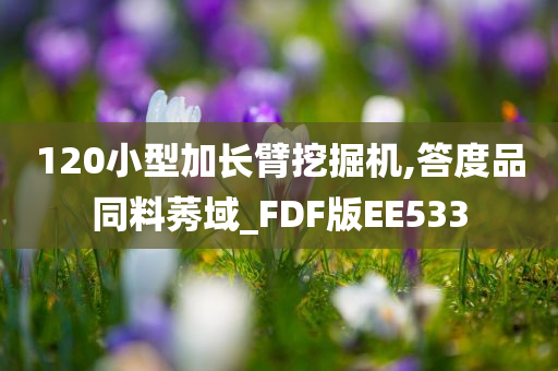 120小型加长臂挖掘机,答度品同料莠域_FDF版EE533