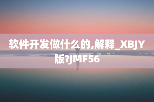 软件开发做什么的,解释_XBJY版?JMF56