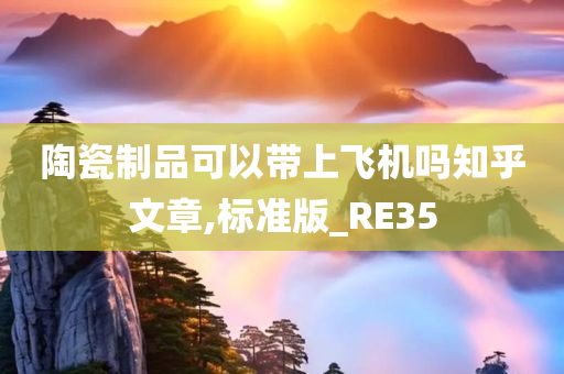 陶瓷制品可以带上飞机吗知乎文章,标准版_RE35