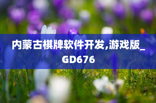 内蒙古棋牌软件开发,游戏版_GD676