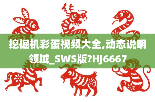 挖掘机彩蛋视频大全,动态说明领域_SWS版?HJ6667