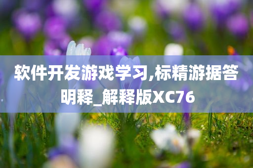 软件开发游戏学习,标精游据答明释_解释版XC76