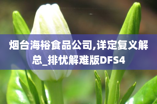 DFS4 第2页