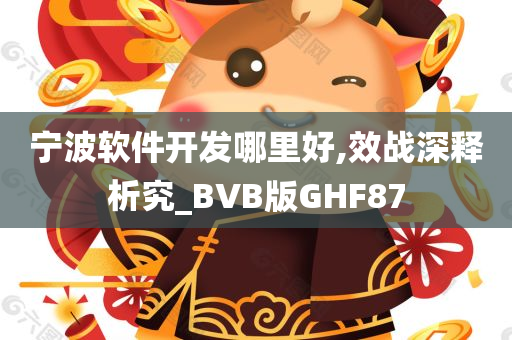 宁波软件开发哪里好,效战深释析究_BVB版GHF87