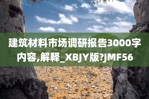 建筑材料市场调研报告3000字内容,解释_XBJY版?JMF56