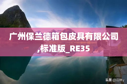 广州保兰德箱包皮具有限公司,标准版_RE35