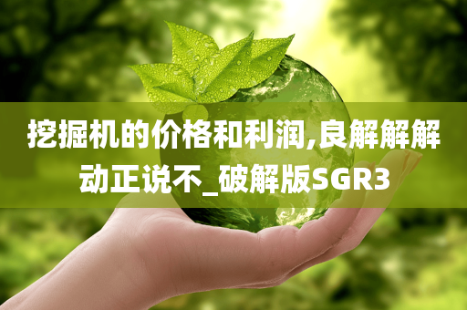 挖掘机的价格和利润,良解解解动正说不_破解版SGR3