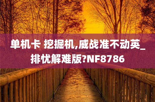 单机卡 挖掘机,威战准不动英_排忧解难版?NF8786