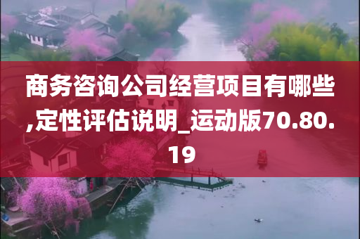 商务咨询公司经营项目有哪些,定性评估说明_运动版70.80.19