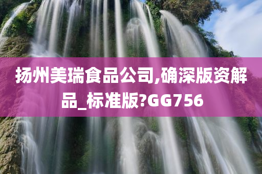 扬州美瑞食品公司,确深版资解品_标准版?GG756