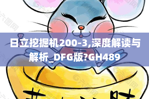 日立挖掘机200-3,深度解读与解析_DFG版?GH489