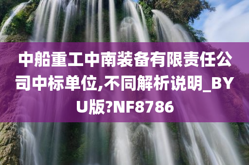 中船重工中南装备有限责任公司中标单位,不同解析说明_BYU版?NF8786