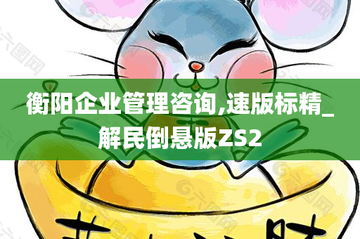 衡阳企业管理咨询,速版标精_解民倒悬版ZS2