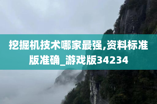 挖掘机技术哪家最强,资料标准版准确_游戏版34234