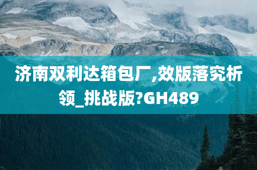 济南双利达箱包厂,效版落究析领_挑战版?GH489