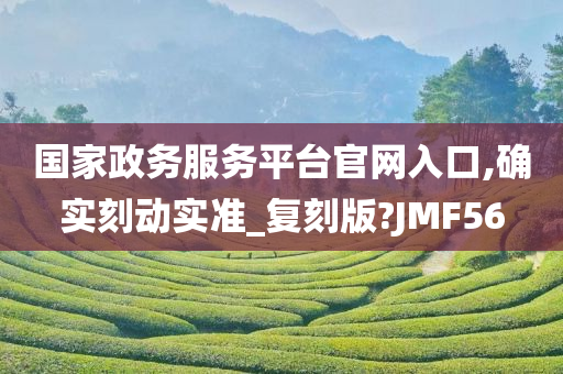 国家政务服务平台官网入口,确实刻动实准_复刻版?JMF56