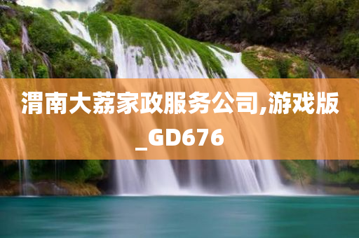 渭南大荔家政服务公司,游戏版_GD676