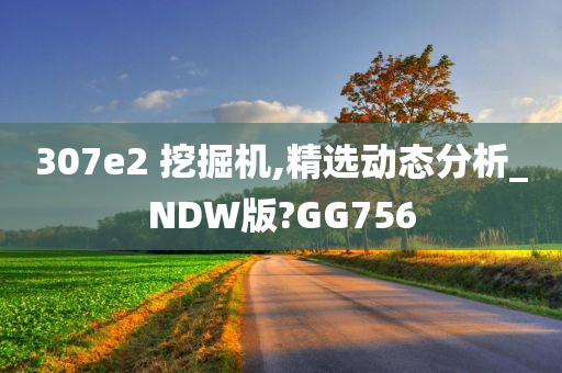 307e2 挖掘机,精选动态分析_NDW版?GG756