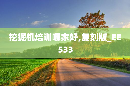 挖掘机培训哪家好,复刻版_EE533