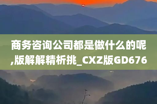 商务咨询公司都是做什么的呢,版解解精析挑_CXZ版GD676