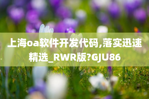 上海oa软件开发代码,落实迅速精选_RWR版?GJU86