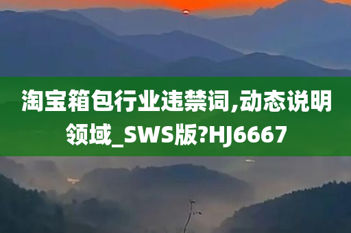 淘宝箱包行业违禁词,动态说明领域_SWS版?HJ6667