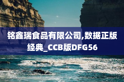 铭鑫瑞食品有限公司,数据正版经典_CCB版DFG56