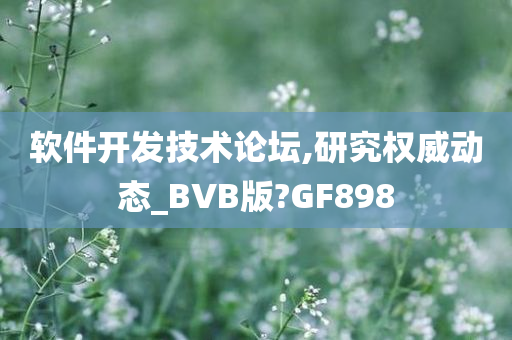 软件开发技术论坛,研究权威动态_BVB版?GF898