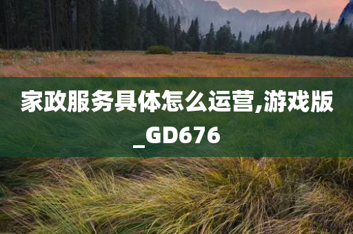 家政服务具体怎么运营,游戏版_GD676